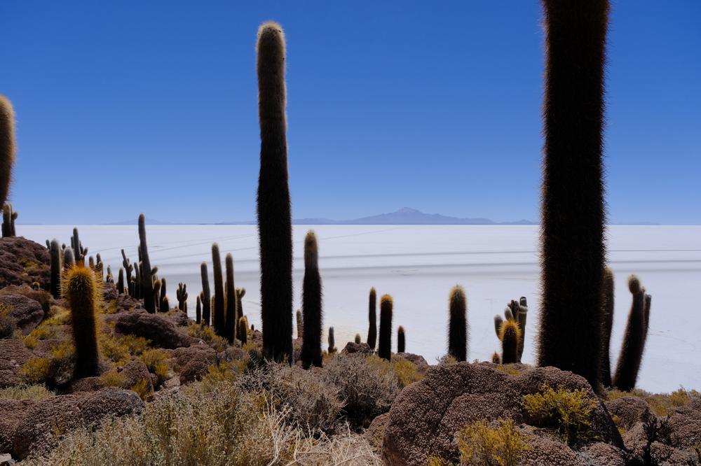 image ChiliBolivie_201.jpg