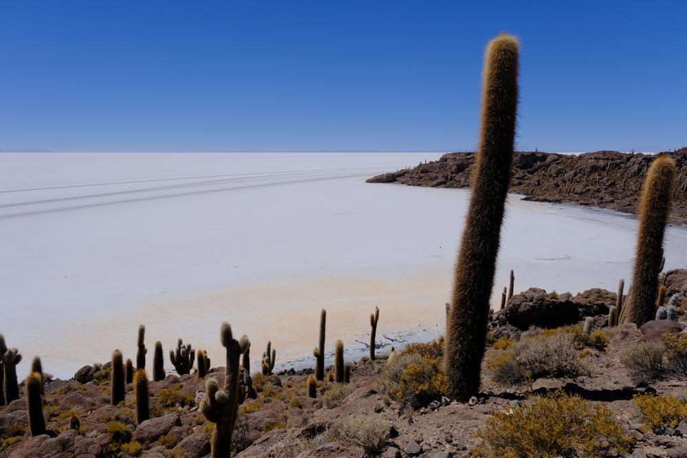 image ChiliBolivie_206.jpg