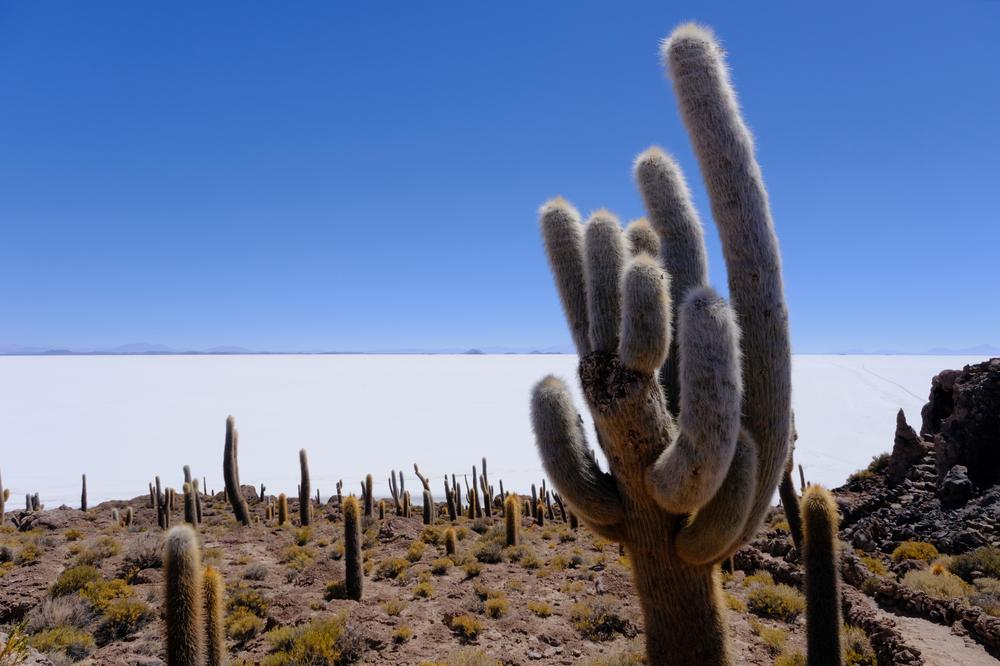 image ChiliBolivie_211.jpg