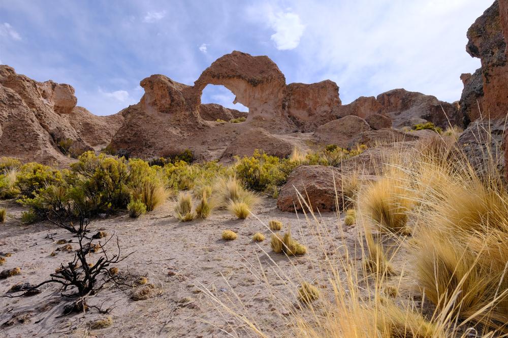 image ChiliBolivie_243.jpg