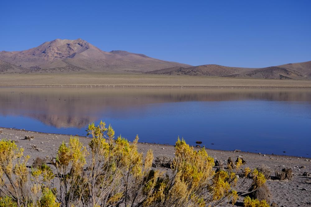 image ChiliBolivie_261.jpg