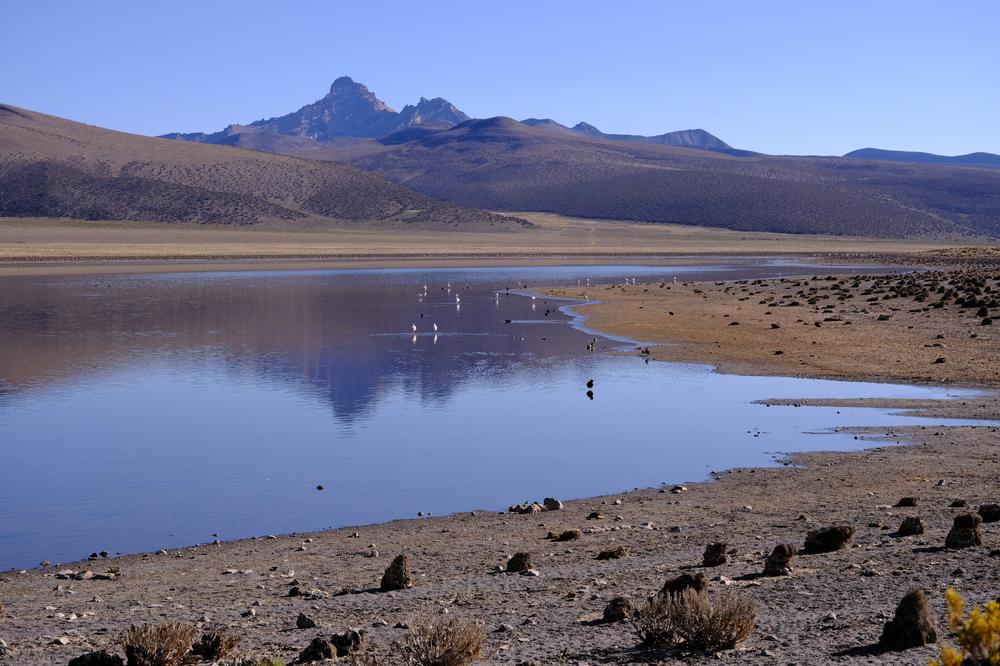 image ChiliBolivie_262.jpg