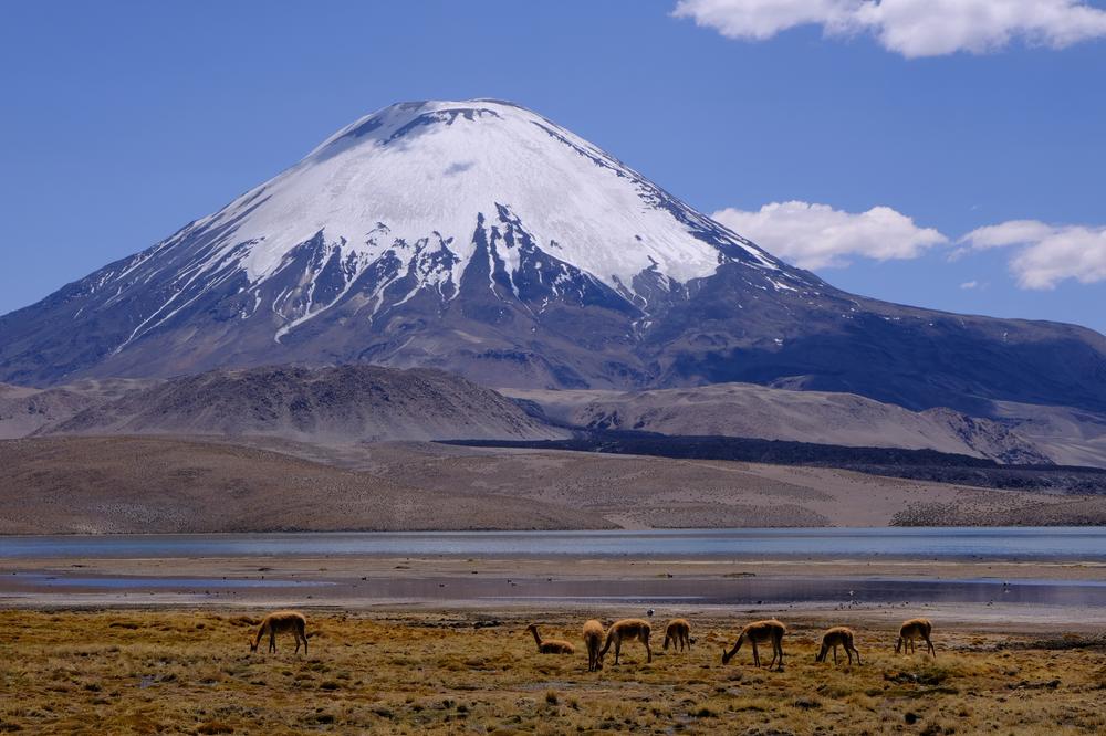 image ChiliBolivie_274.jpg
