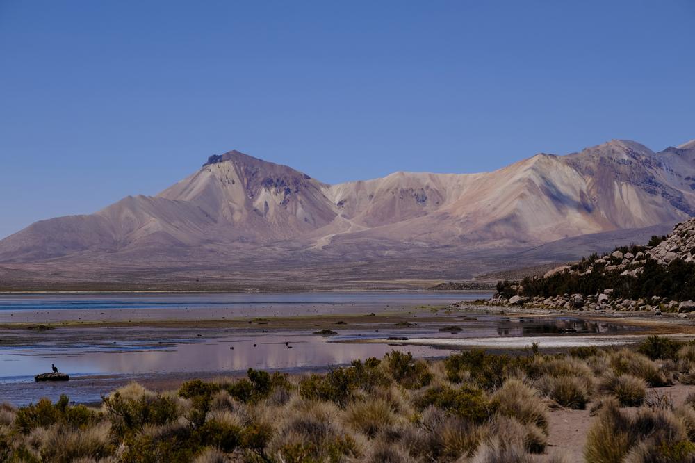 image ChiliBolivie_275.jpg