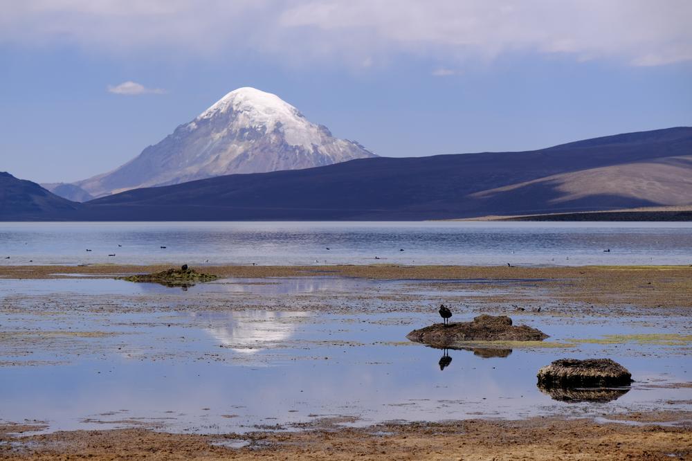 image ChiliBolivie_284.jpg