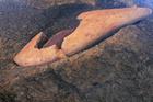 image Rapanui_017.jpg