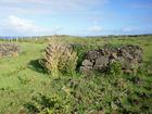 image Rapanui_039.jpg