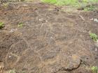 image Rapanui_079.jpg
