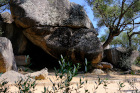 image CorseSud_013.jpg