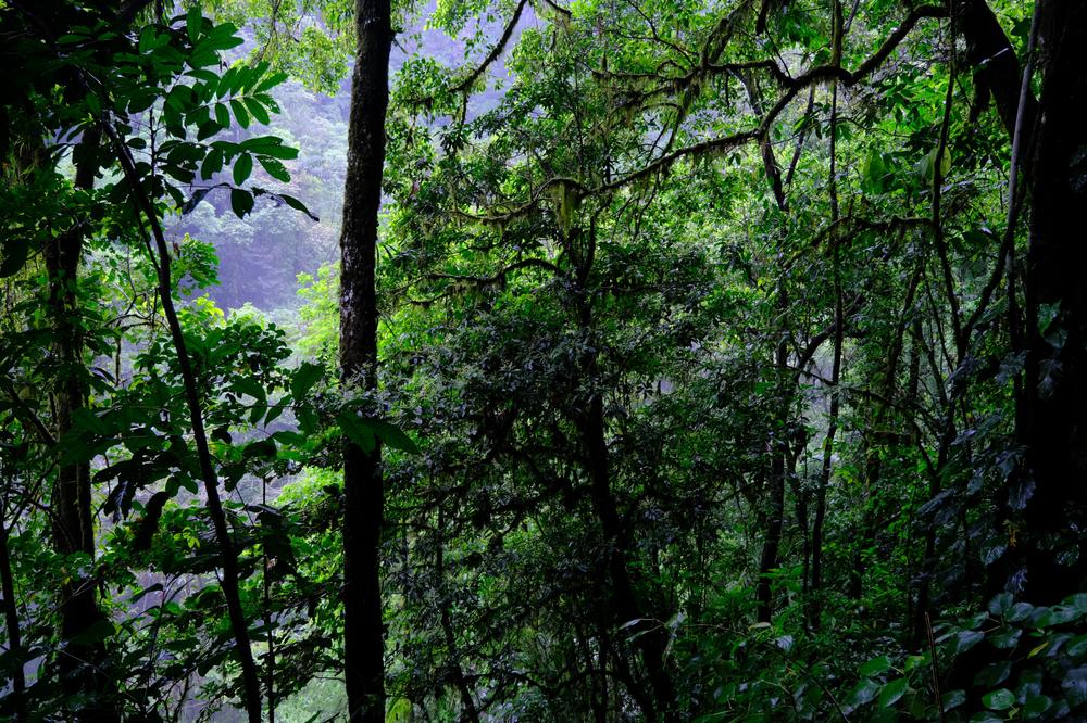 image COSTARICA_001.jpg