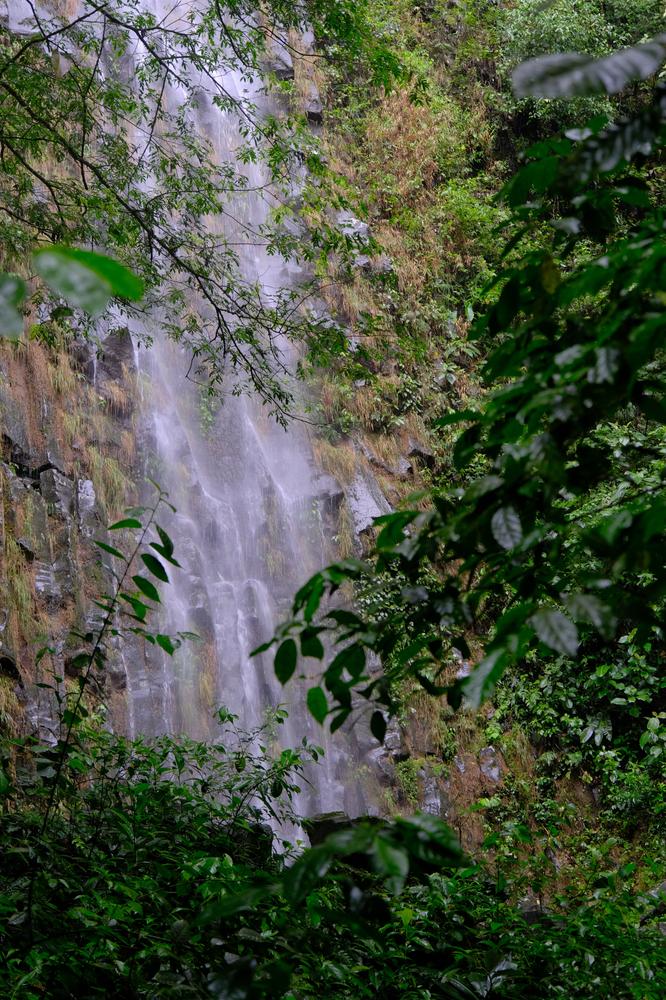 image COSTARICA_004.jpg