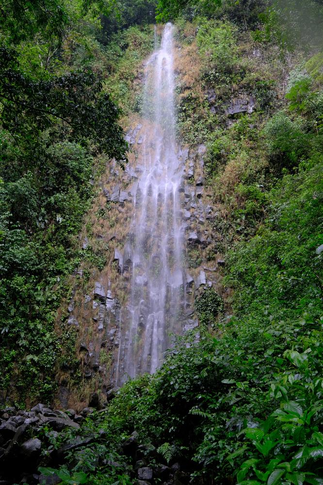 image COSTARICA_005.jpg
