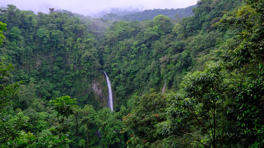 image COSTARICA_006.jpg
