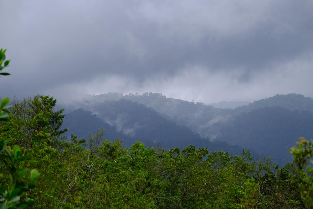 image COSTARICA_010.jpg