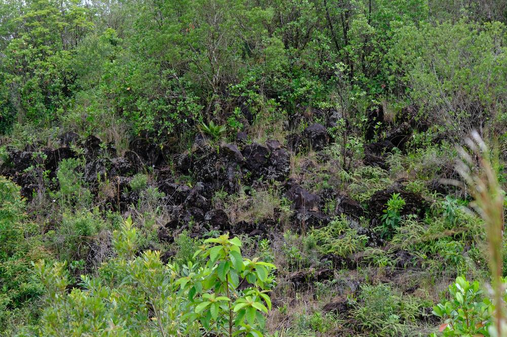 image COSTARICA_012.jpg