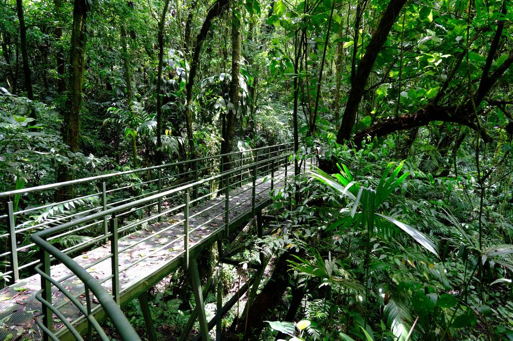 image COSTARICA_015.jpg