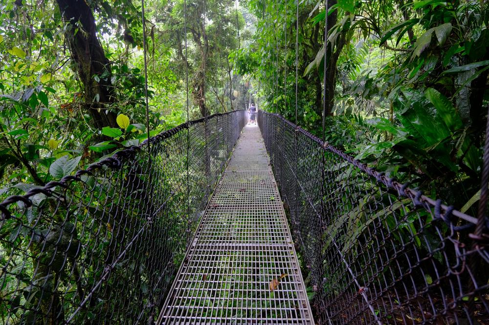 image COSTARICA_036.jpg
