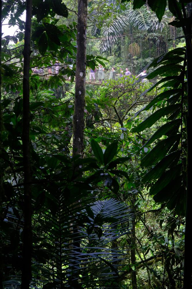 image COSTARICA_038.jpg