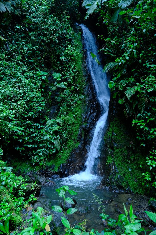 image COSTARICA_039.jpg