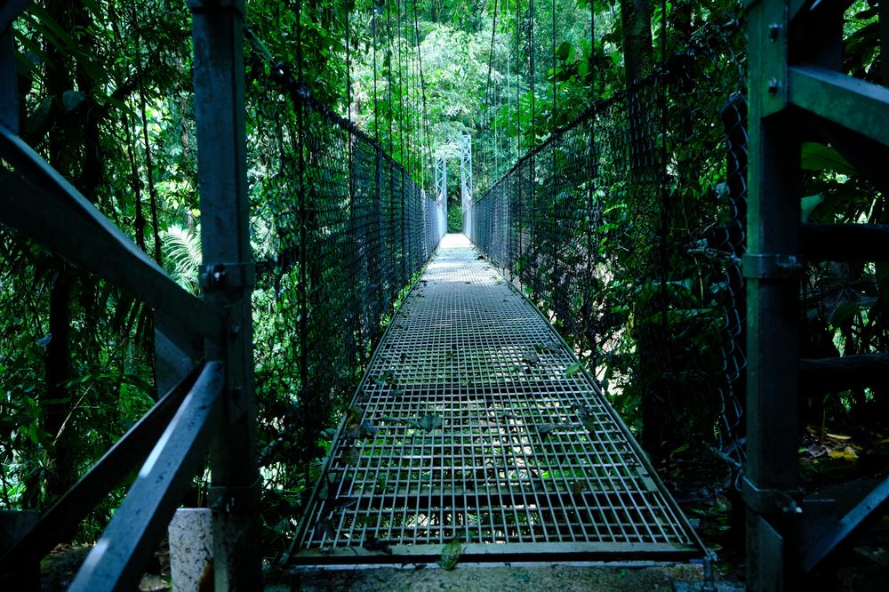 image COSTARICA_040.jpg