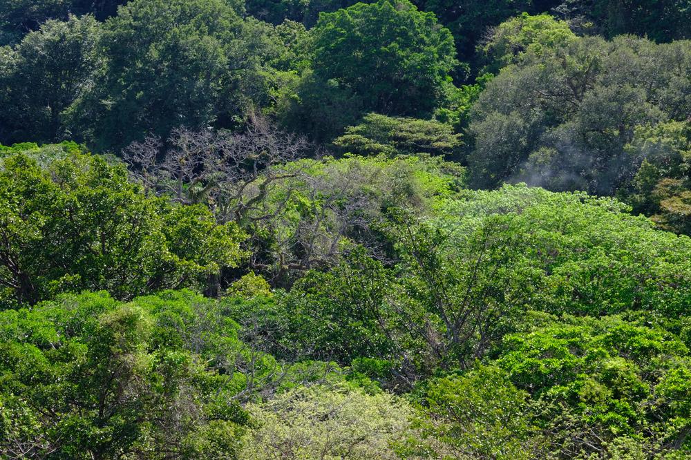 image COSTARICA_072.jpg