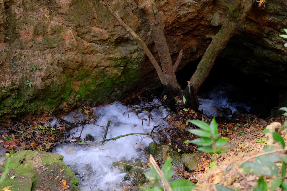 image COSTARICA_080.jpg