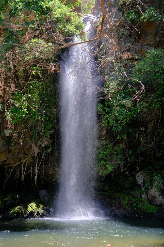 image COSTARICA_082.jpg