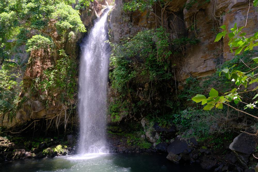 image COSTARICA_083.jpg