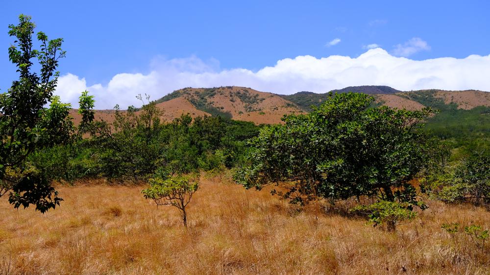 image COSTARICA_084.jpg