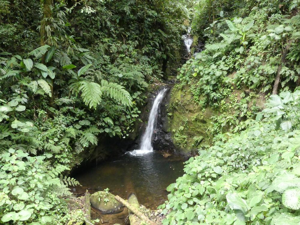 image COSTARICA_093.jpg