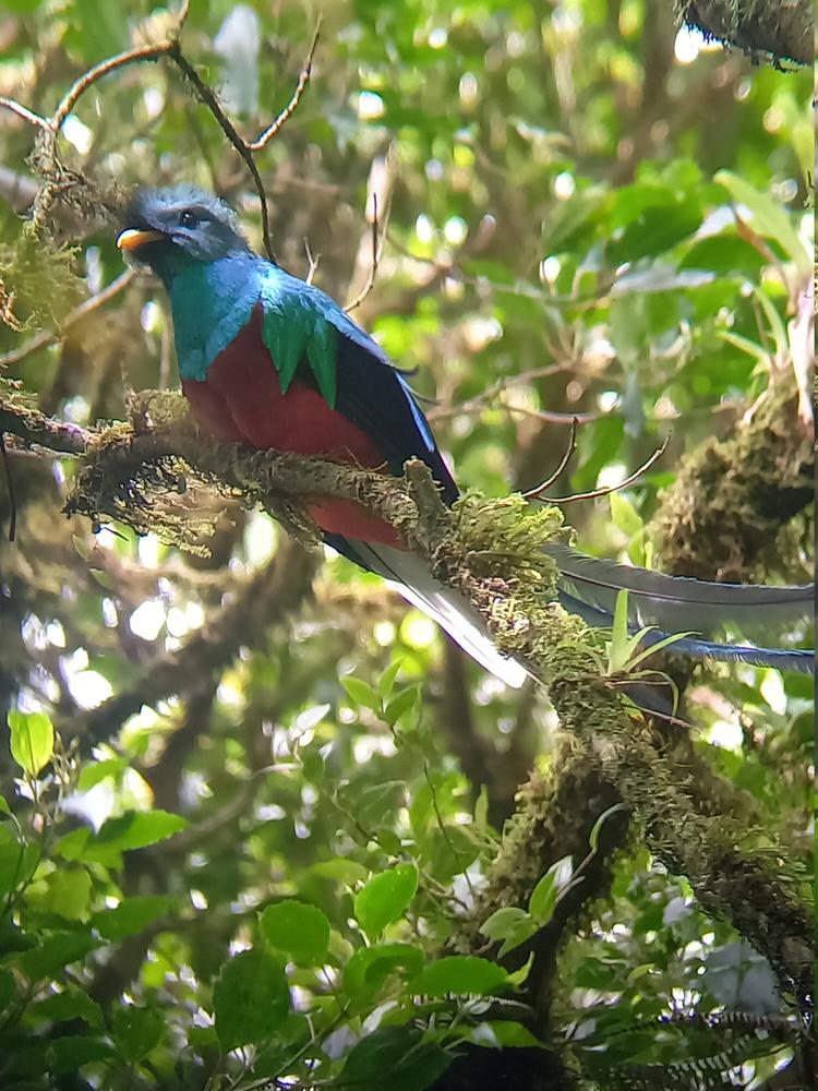 image COSTARICA_102.jpg