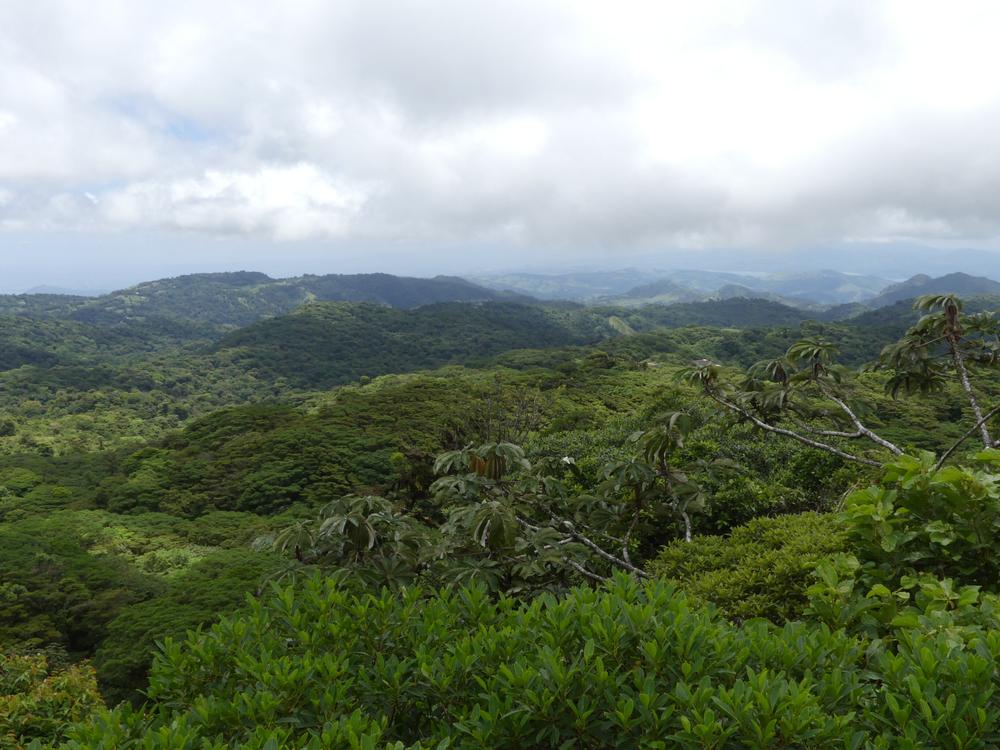 image COSTARICA_105.jpg