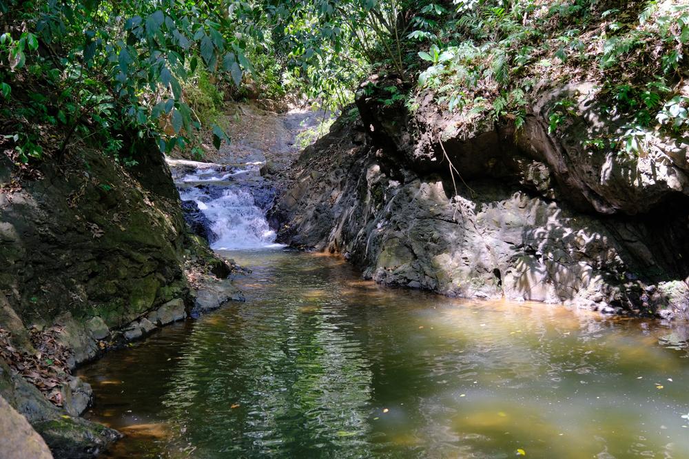 image COSTARICA_124.jpg