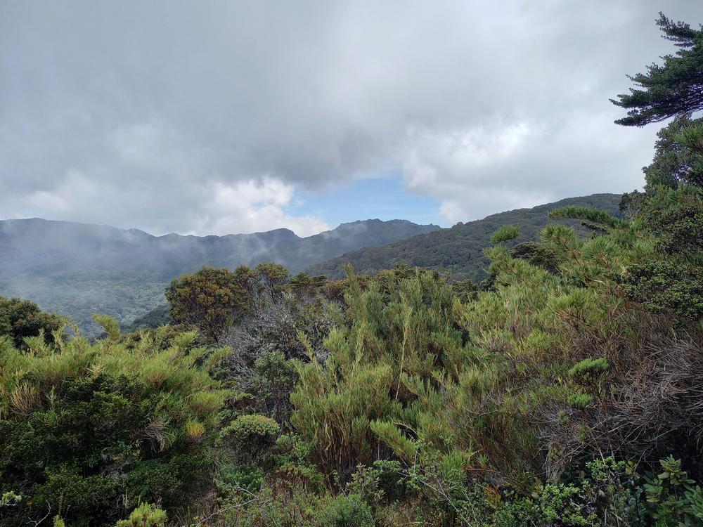 image COSTARICA_154.jpg