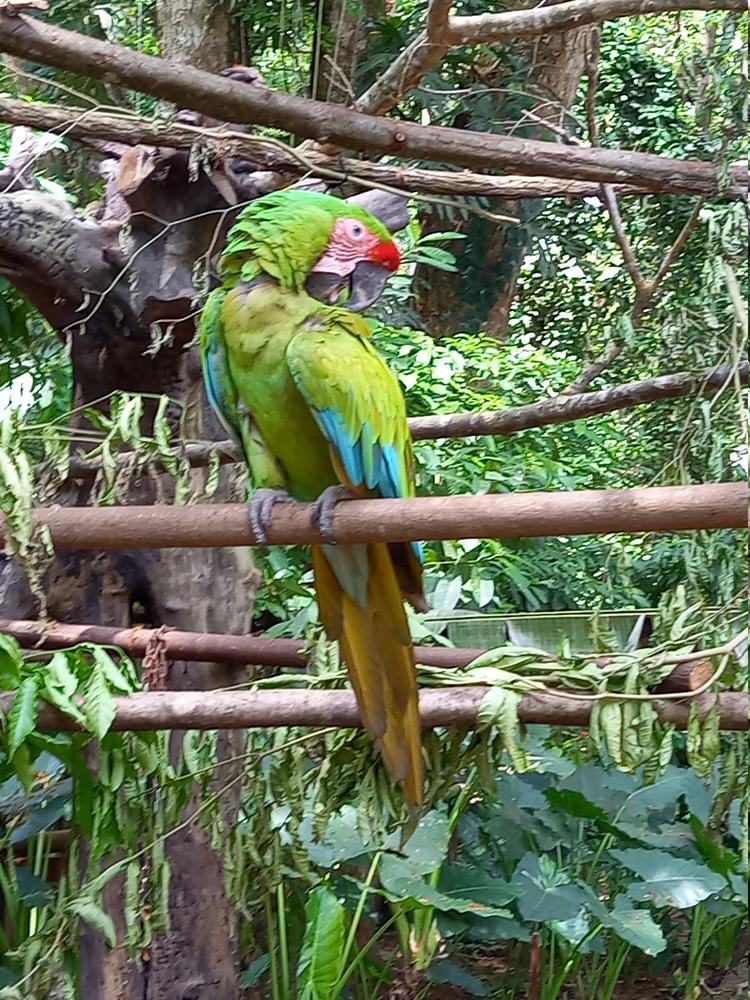 image COSTARICA_164.jpg