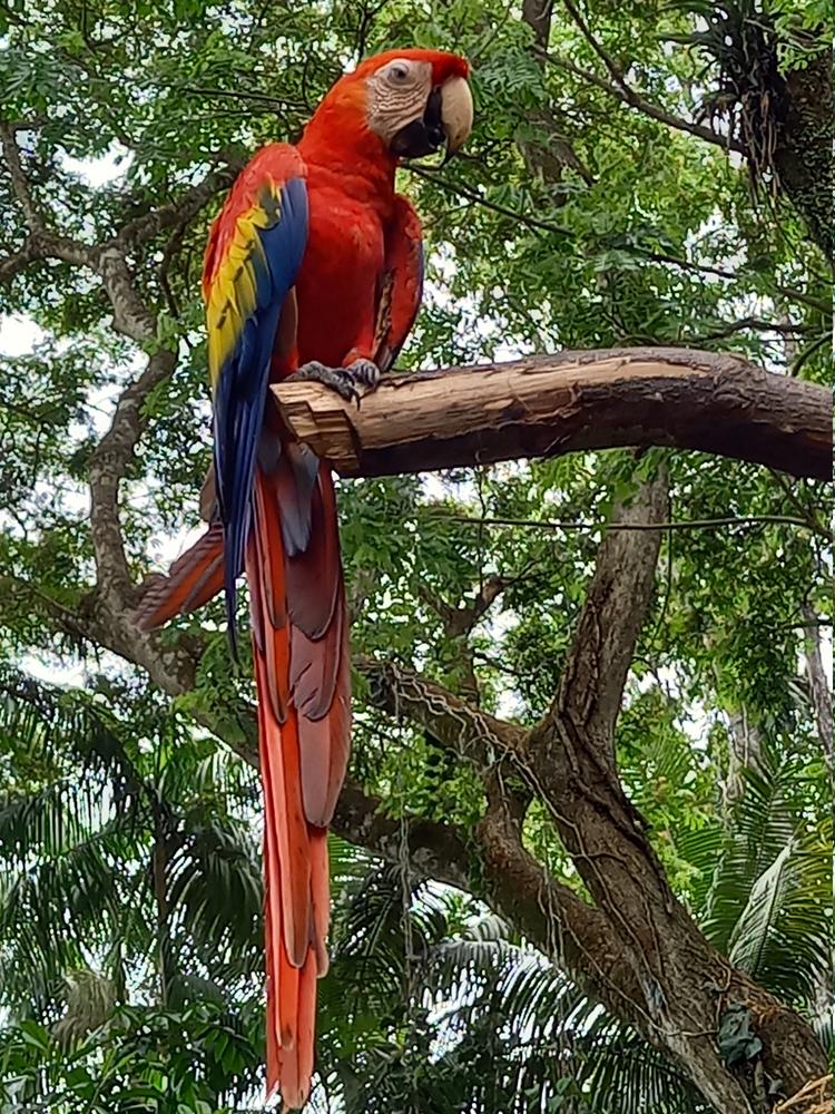 image COSTARICA_165.jpg