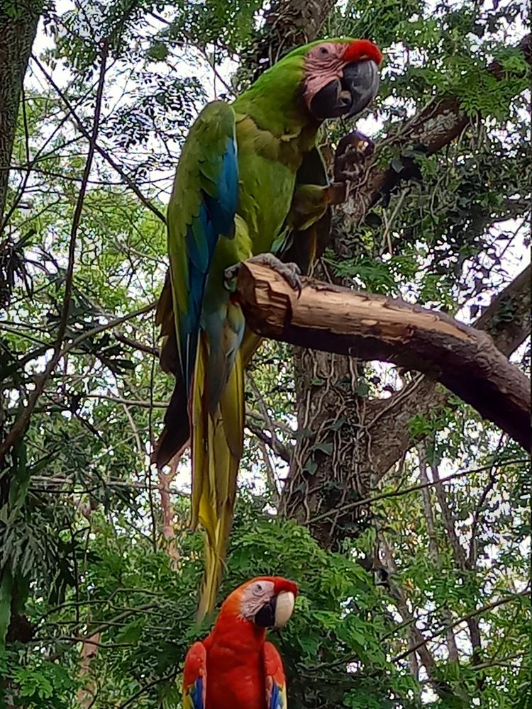 image COSTARICA_166.jpg