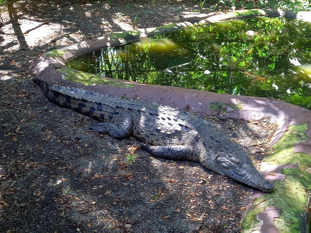 image COSTARICA_182.jpg
