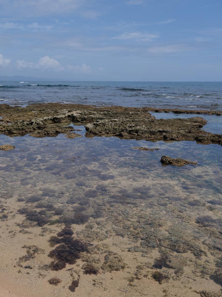 image COSTARICA_214.jpg