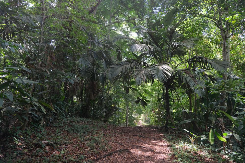 image COSTARICA_217.jpg