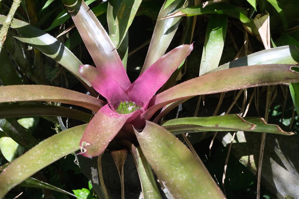 image COSTARICA_227.jpg