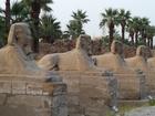 image Egypte_017.jpg