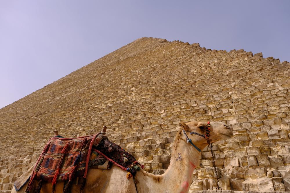 image EGYPTE2_003.jpg
