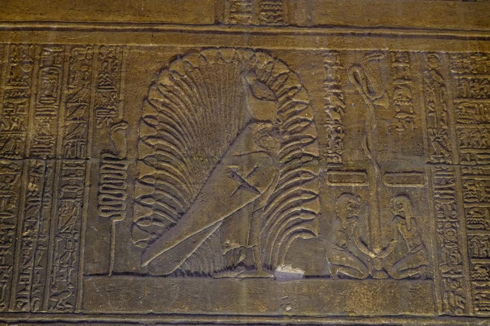 image EGYPTE2_061.jpg