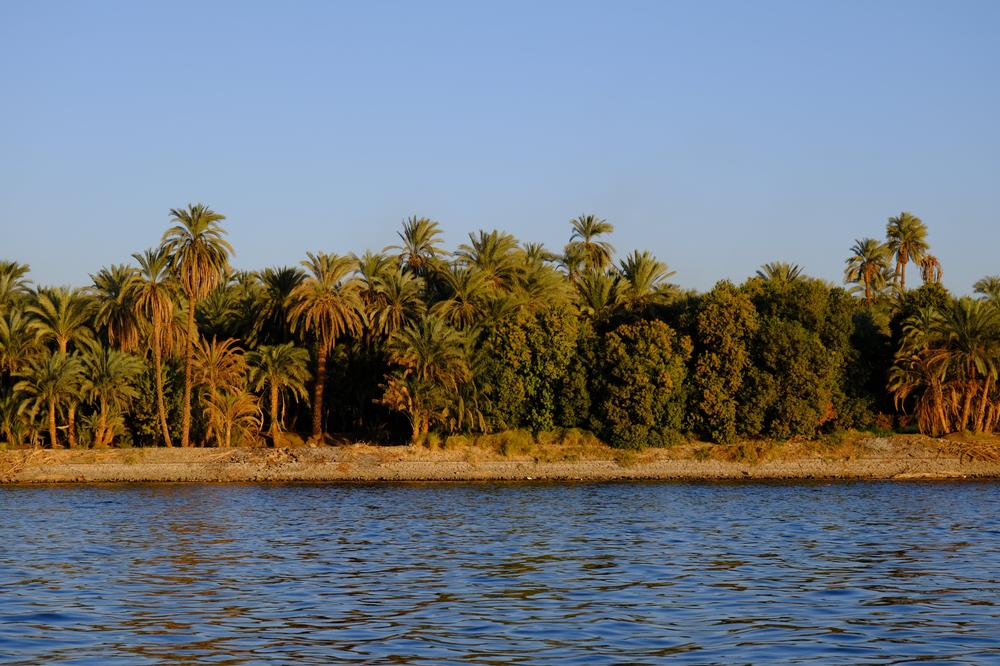 image EGYPTE2_191.jpg