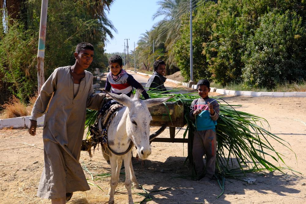 image EGYPTE2_195.jpg