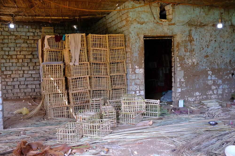 image EGYPTE2_200.jpg