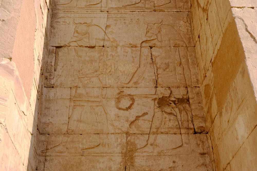 image EGYPTE2_226.jpg