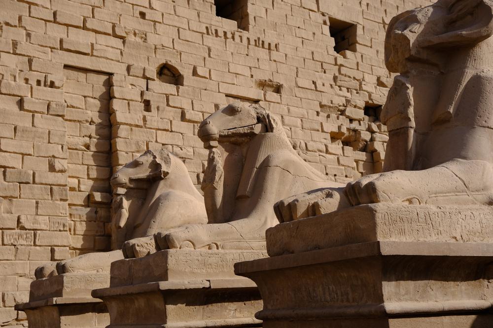 image EGYPTE2_258.jpg