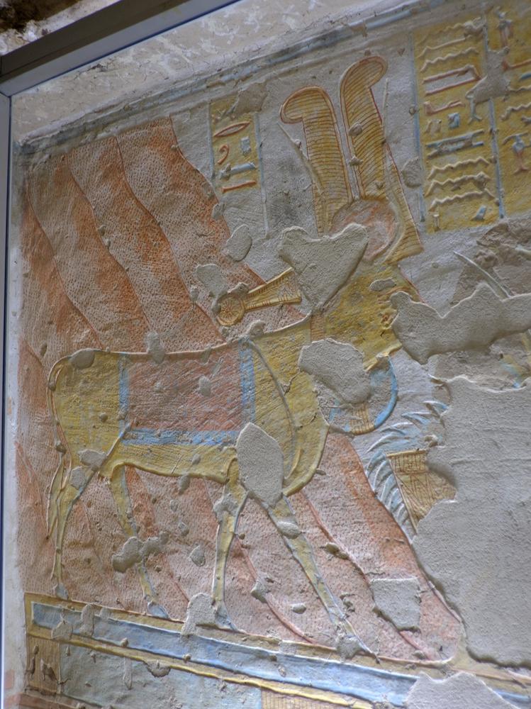 image EGYPTE2_369.jpg